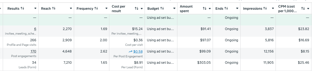 AI solutions provider ad account showing $8.91 cost per lead and $0.36 cost per page visit